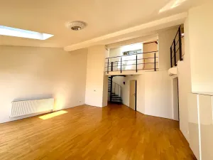 Pronájem bytu 2+kk, Praha - Vinohrady, Polská, 122 m2