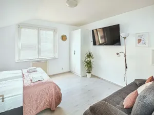 Prodej bytu 2+1, Praha - Nové Město, Školská, 55 m2