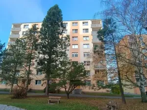 Pronájem bytu 1+kk, Plzeň, Na Dlouhých, 20 m2