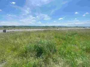 Dražba louky, Kravaře, 2873 m2