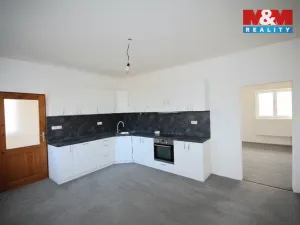 Prodej rodinného domu, Město Albrechtice - Opavice, 250 m2