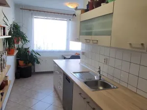 Prodej bytu 2+1, Vodňany - Vodňany II, Výstavní, 65 m2