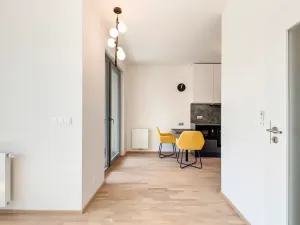 Pronájem bytu 1+kk, Praha - Karlín, Breitfeldova, 40 m2