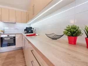Pronájem bytu 2+kk, Brno, Cejl, 58 m2