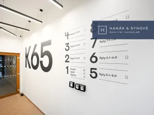 Pronájem bytu 1+kk, Brno, Koliště, 22 m2