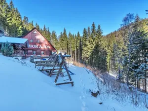 Prodej chalupy, Vítkovice, 500 m2