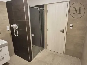 Pronájem bytu 1+kk, České Budějovice, Skuherského, 45 m2