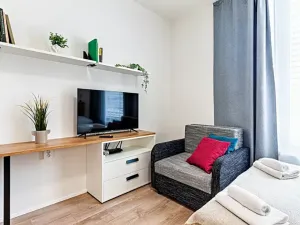 Prodej bytu 1+kk, Praha, Plzeňská, 28 m2