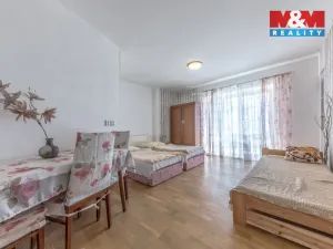 Prodej ubytování, Třebívlice - Dřemčice, 1015 m2