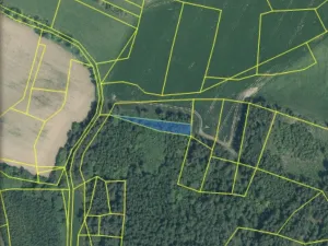 Prodej lesa, Čepřovice, 982 m2