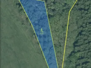 Prodej lesa, Čepřovice, 1644 m2