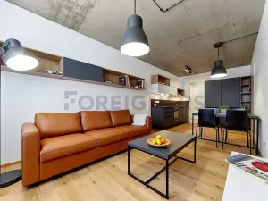 Pronájem bytu 2+kk, Brno, Cejl, 50 m2