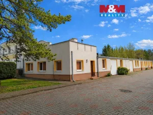 Pronájem obchodního prostoru, Teplice, Dubská, 460 m2