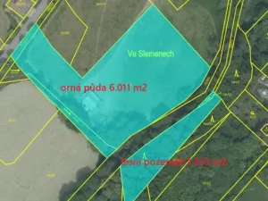 Prodej louky, Zadní Třebaň, K Hájku, 7998 m2