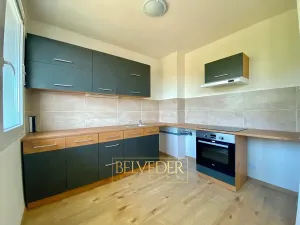 Pronájem bytu 2+1, Osek, Hrdlovská, 62 m2