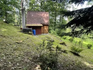 Prodej chaty, Dolany, 35 m2