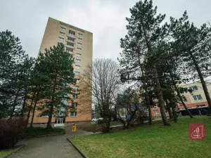 Prodej bytu 1+kk, Brno, Žitná, 29 m2