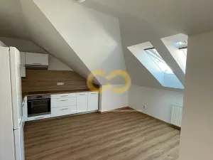 Pronájem bytu 1+1, Prachatice, Vítkova, 47 m2