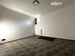 Pronájem bytu 4+kk, Plchov, 120 m2