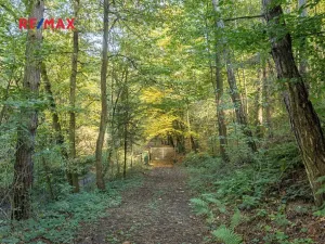 Prodej lesa, Praha - Malá Chuchle, 17570 m2