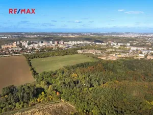 Prodej lesa, Praha - Malá Chuchle, 17570 m2