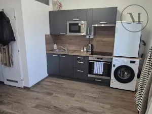 Pronájem bytu 1+kk, České Budějovice, Reinerova, 18 m2