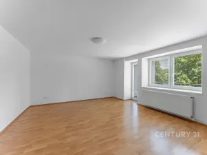 Prodej vícegeneračního domu, Kamýk nad Vltavou, 320 m2