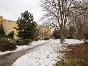 Prodej bytu 2+1, Praha - Malešice, Limuzská, 47 m2