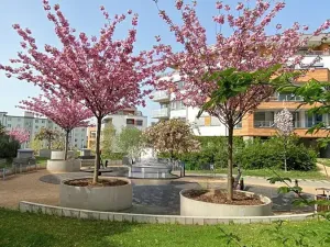 Pronájem bytu 2+kk, Praha - Hloubětín, Krylovecká, 55 m2