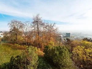 Pronájem bytu 2+kk, Praha - Libeň, Přádova, 60 m2