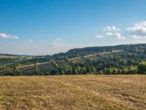 Prodej ubytování, Dolní Moravice, 489 m2