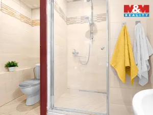 Prodej rodinného domu, Snědovice, 220 m2