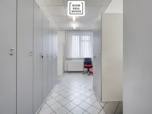 Pronájem kanceláře, Kolín, Rubešova, 634 m2