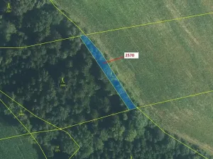 Dražba lesa, Písečná, 447 m2