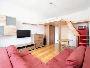 Pronájem bytu 1+kk, Brno, Čejkova, 27 m2