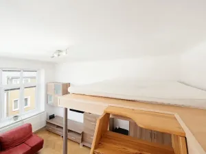 Pronájem bytu 1+kk, Brno, Čejkova, 27 m2