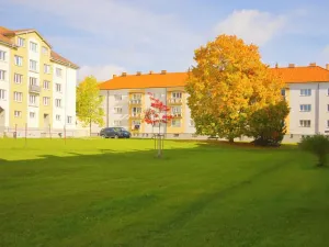 Prodej bytu 2+1, Bechyně, Na Libuši, 59 m2