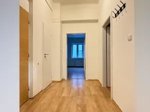 Prodej bytu 1+1, Plzeň, Tělocvičná, 47 m2