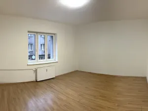 Prodej bytu 1+1, Plzeň, Tělocvičná, 47 m2