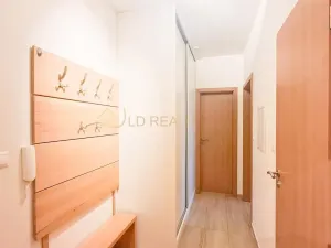 Pronájem bytu 2+kk, Olomouc, Horova, 53 m2