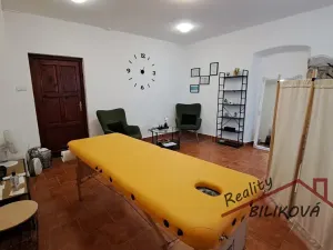 Pronájem obchodního prostoru, Brandýs nad Labem-Stará Boleslav, F. X. Procházky, 28 m2