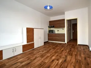 Prodej bytu 1+kk, Praha - Záběhlice, Hvozdíková, 25 m2