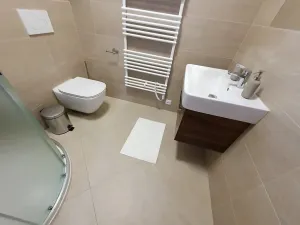 Prodej vícegeneračního domu, Pasohlávky, 320 m2