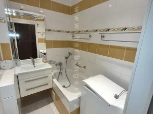 Pronájem bytu 1+kk, Ostrava - Moravská Ostrava, Gen. Janouška, 30 m2