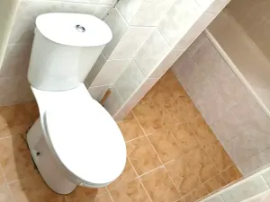 Pronájem bytu 1+1, Praha - Nusle, Lomnického, 43 m2