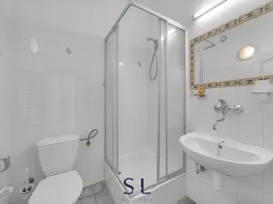 Prodej ubytování, Skorkov, 1229 m2