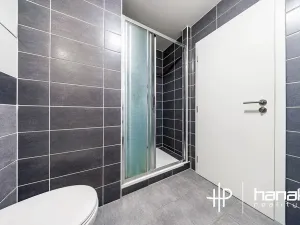 Pronájem bytu 2+kk, Olomouc, Wolkerova, 61 m2