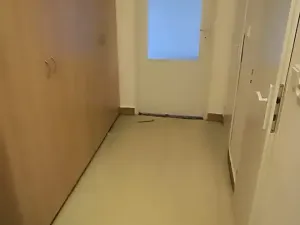 Prodej bytu 2+1, Ostrava, Krasnoarmejců, 52 m2