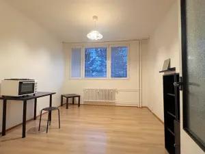 Pronájem bytu 1+kk, Brno, Halasovo náměstí, 26 m2