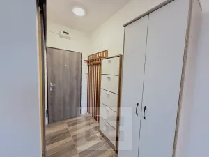 Pronájem bytu 1+1, České Budějovice, Emy Destinové, 36 m2